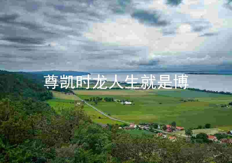 尊凯时龙人生就是博