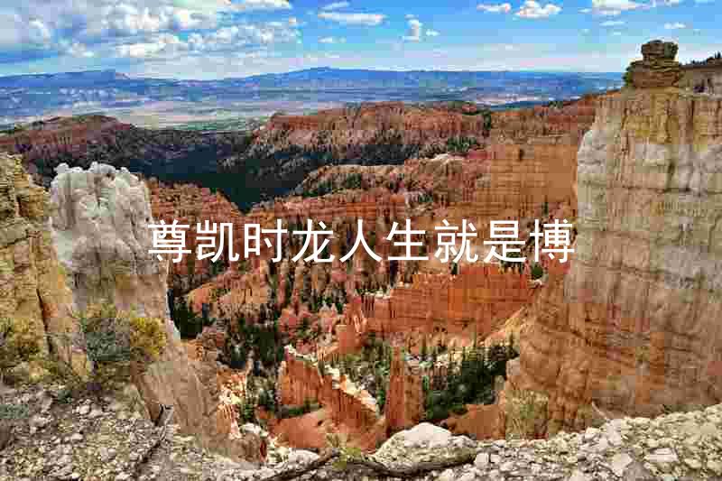 尊凯时龙人生就是博