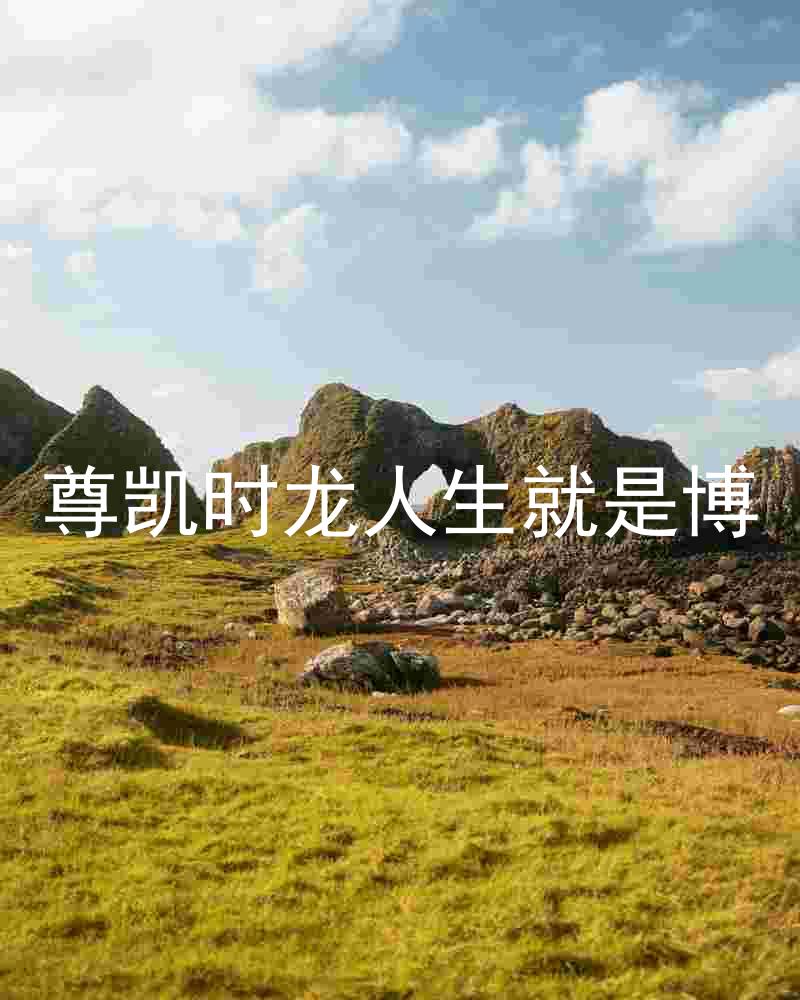 尊凯时龙人生就是博