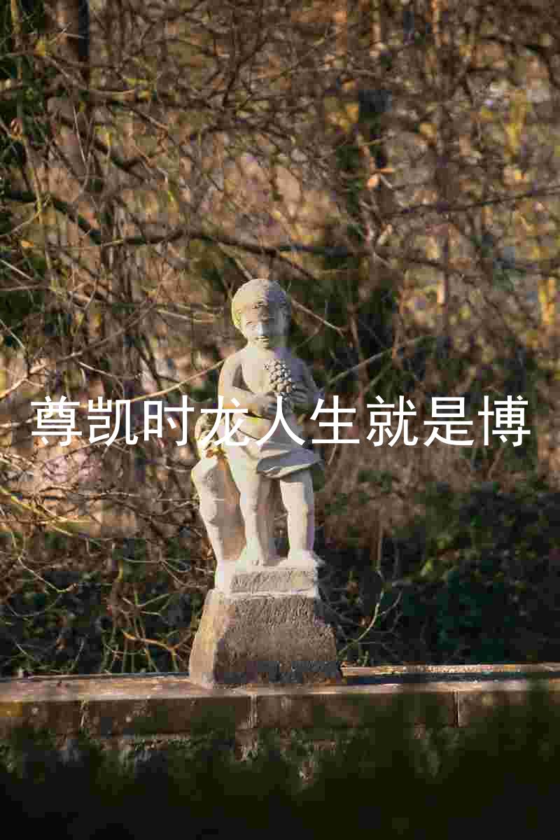 尊凯时龙人生就是博
