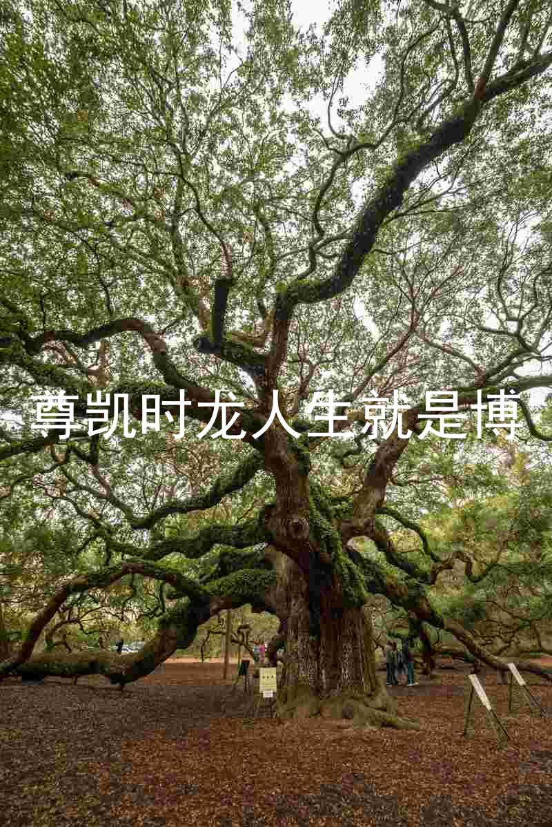 尊凯时龙人生就是博
