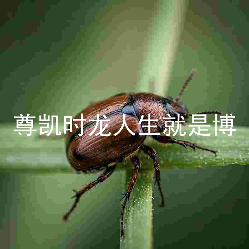 尊凯时龙人生就是博