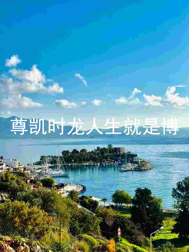 尊凯时龙人生就是博