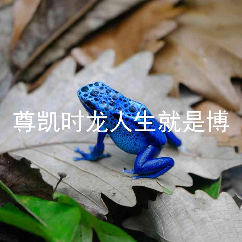 尊凯时龙人生就是博