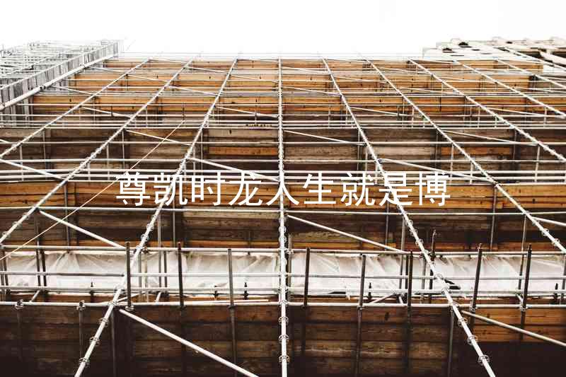 尊凯时龙人生就是博