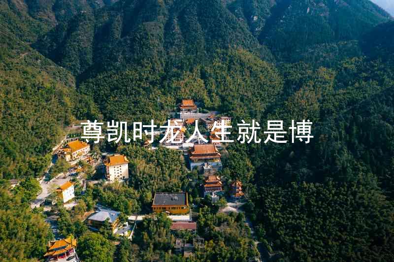 尊凯时龙人生就是博