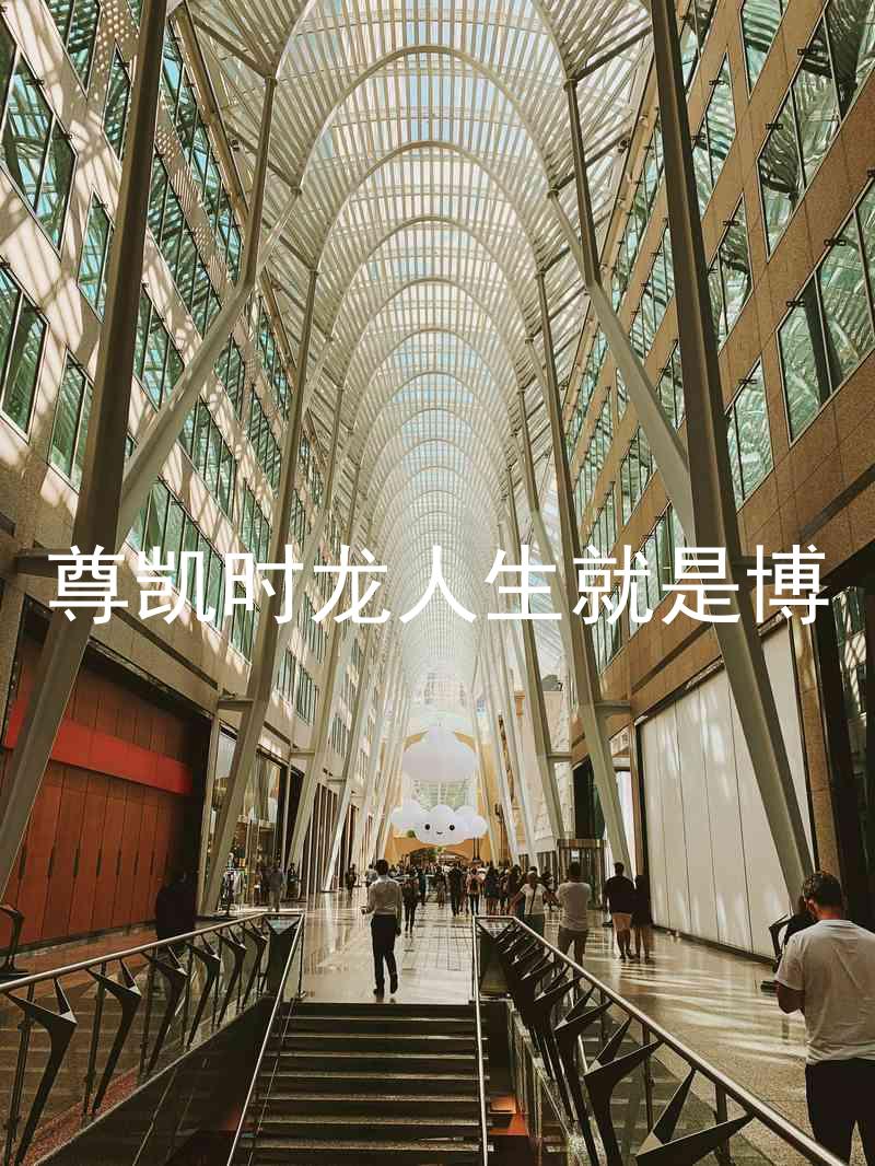尊凯时龙人生就是博