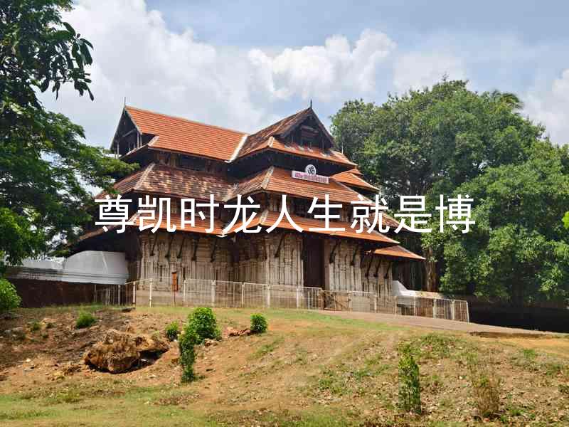 尊凯时龙人生就是博