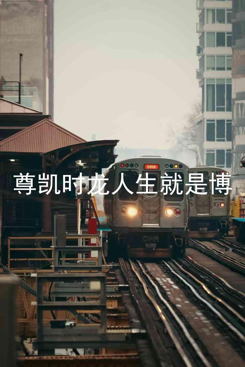 尊凯时龙人生就是博
