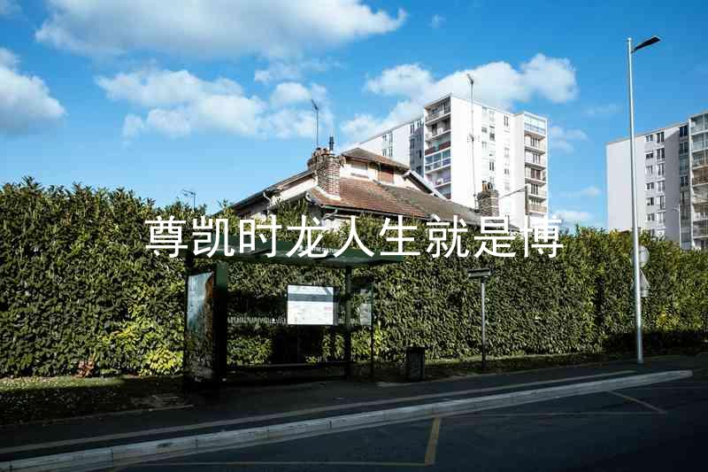 尊凯时龙人生就是博