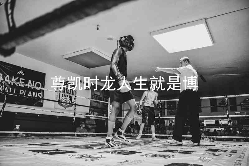 尊凯时龙人生就是博