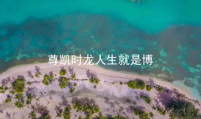 尊凯时龙人生就是博