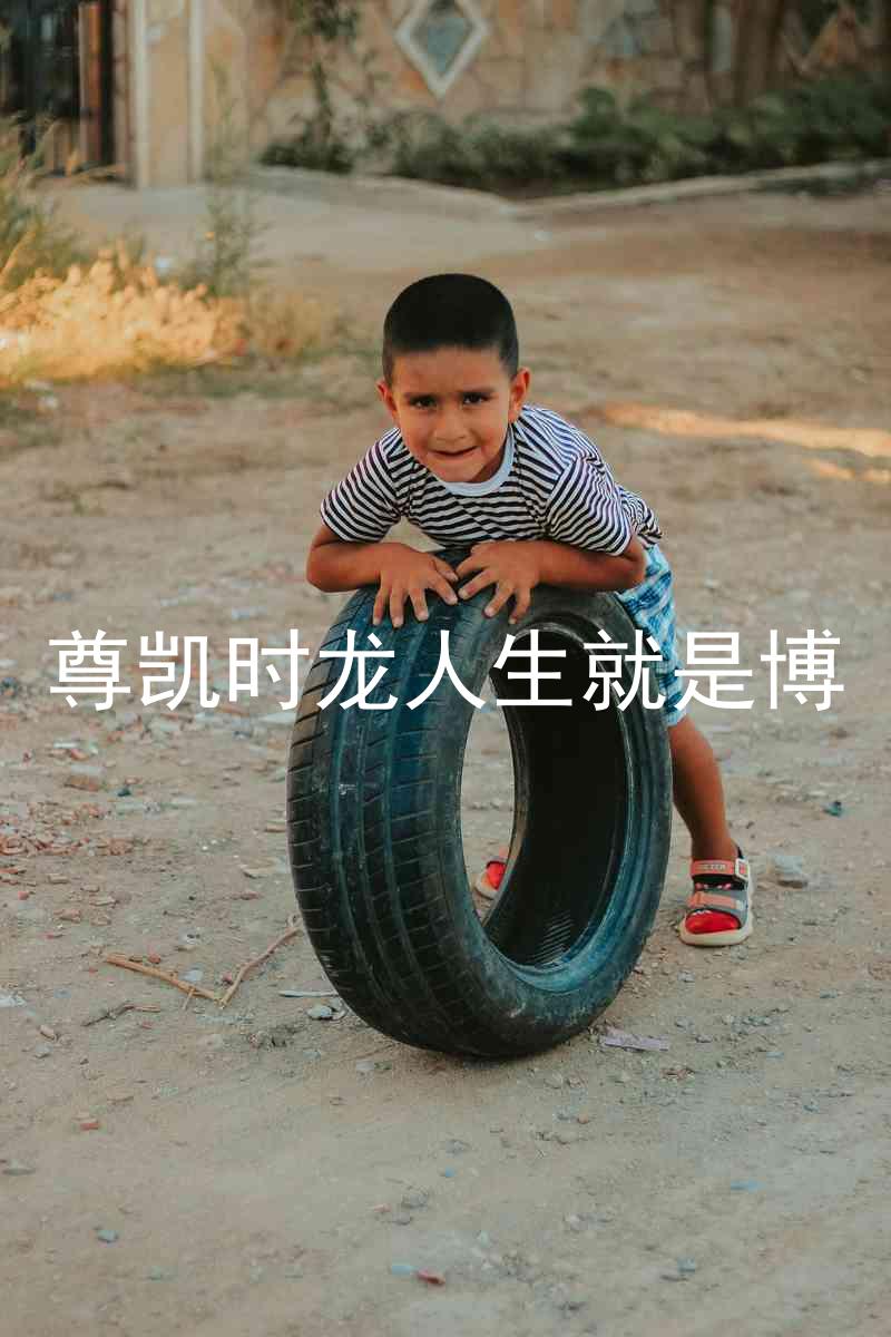 尊凯时龙人生就是博