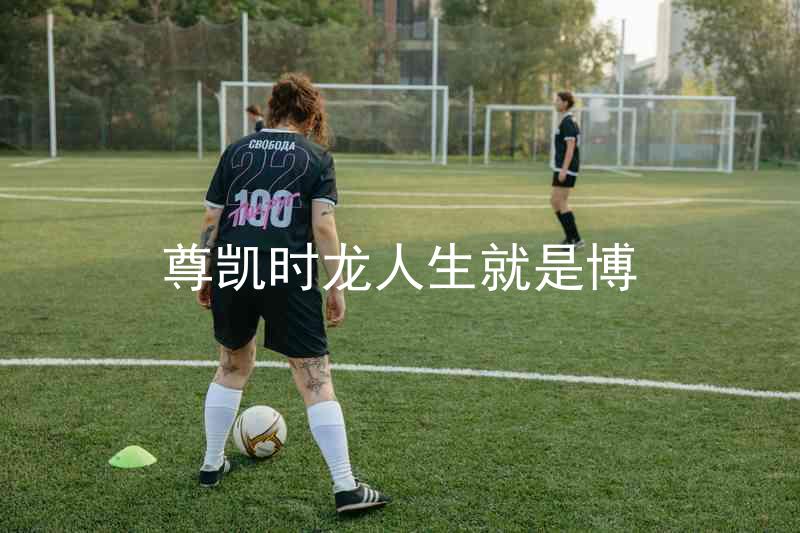 尊凯时龙人生就是博