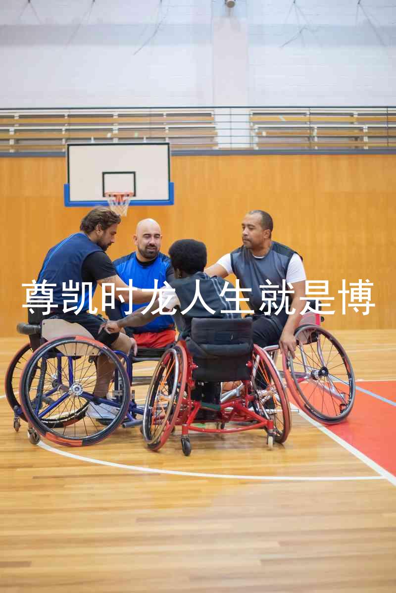 尊凯时龙人生就是博