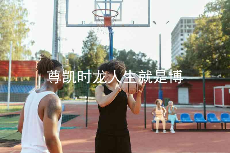 尊凯时龙人生就是博