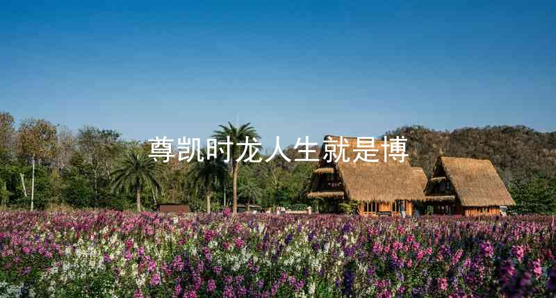 尊凯时龙人生就是博