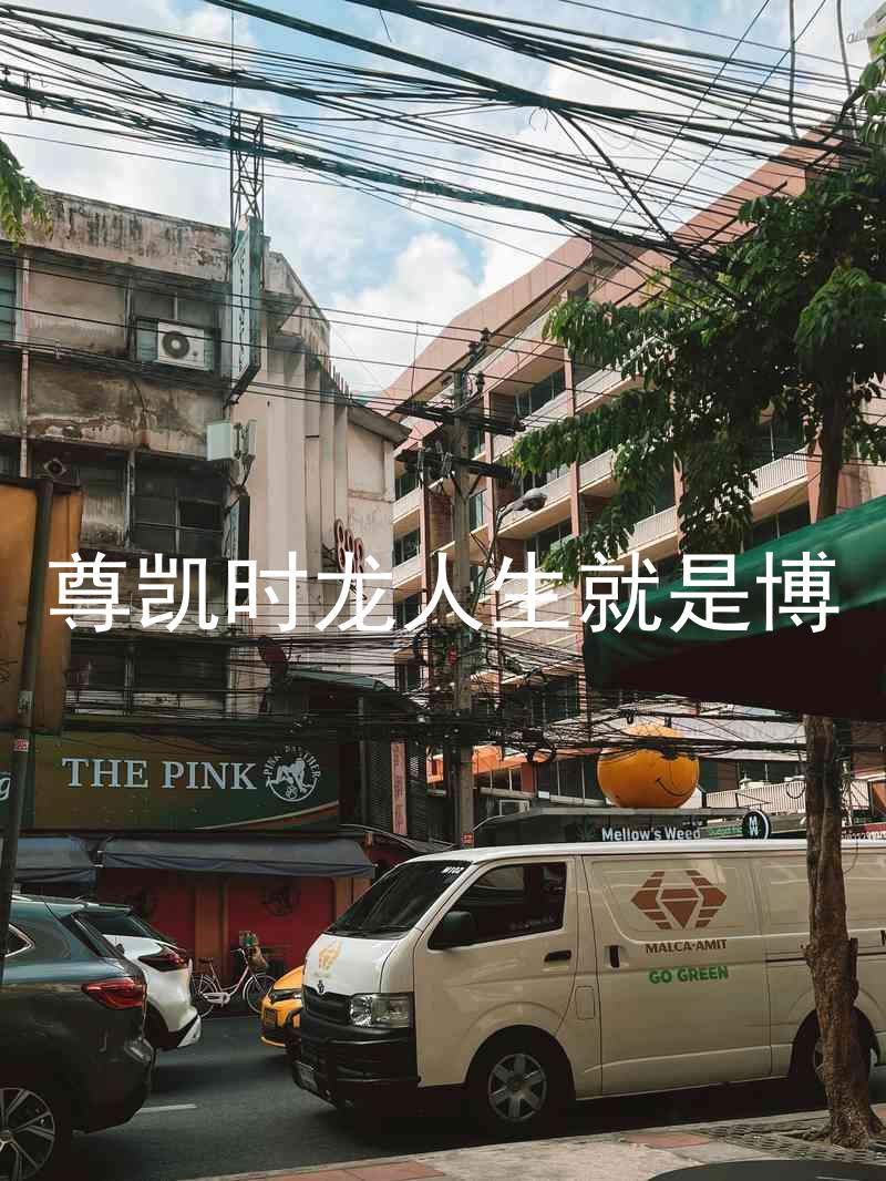 尊凯时龙人生就是博
