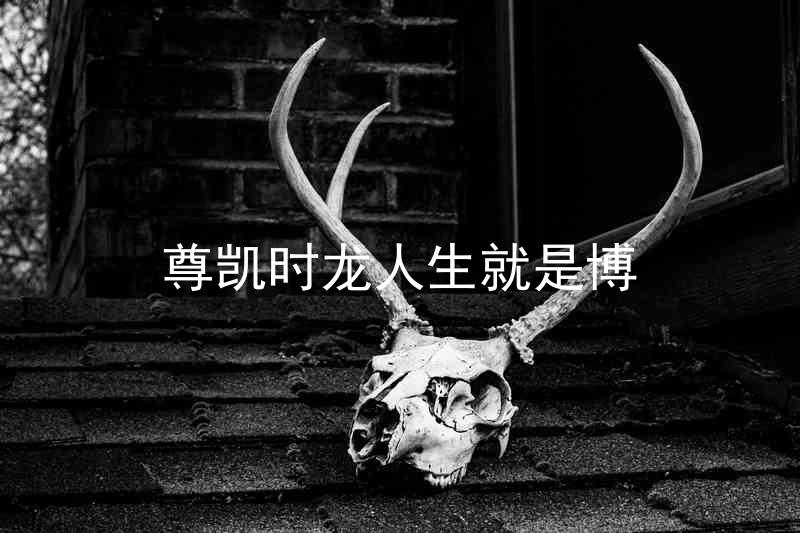 尊凯时龙人生就是博